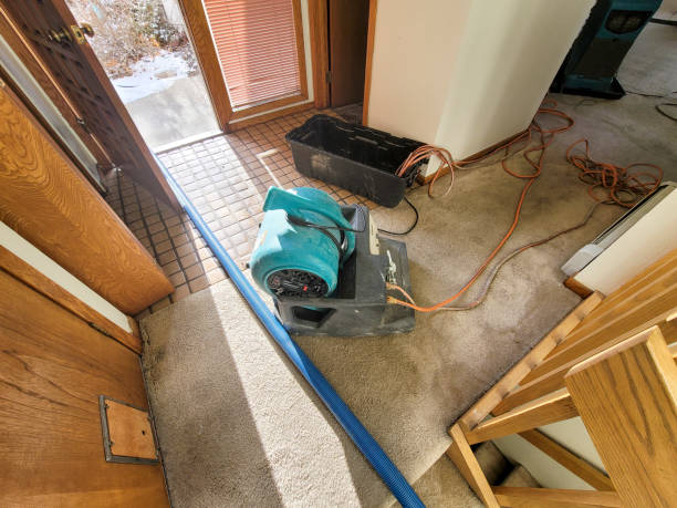 24/7 water damage repair in AL