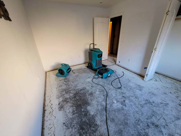 Best Flooded house restoration  in Blplay, AL
