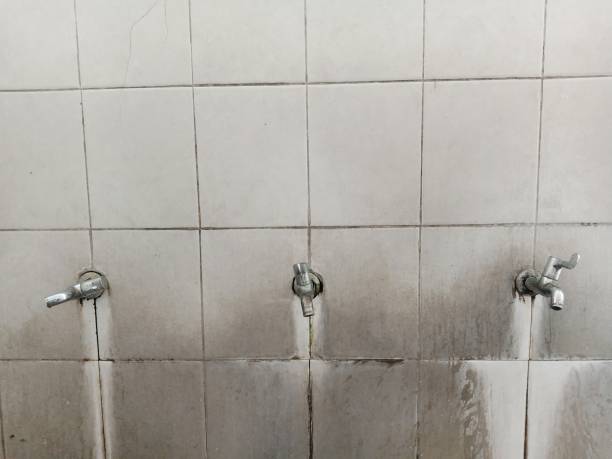 Best Professional water damage repair  in Blplay, AL