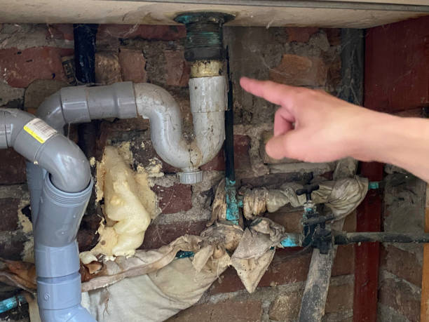 Best Water damage restoration process  in Blplay, AL